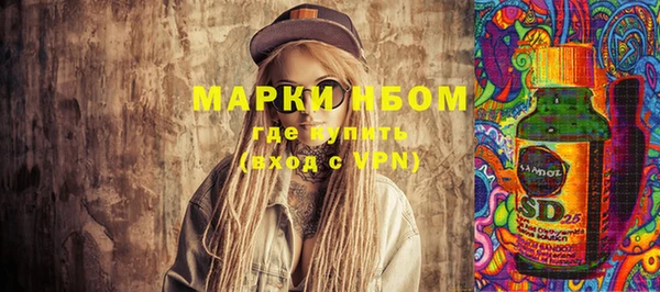 ПСИЛОЦИБИНОВЫЕ ГРИБЫ Каменка