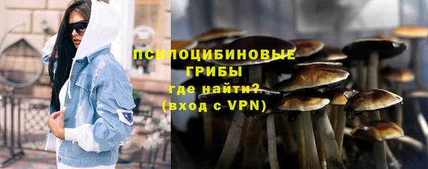 ПСИЛОЦИБИНОВЫЕ ГРИБЫ Каменка
