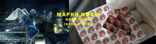 ПСИЛОЦИБИНОВЫЕ ГРИБЫ Каменка