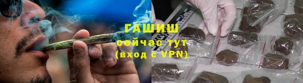 ПСИЛОЦИБИНОВЫЕ ГРИБЫ Каменка