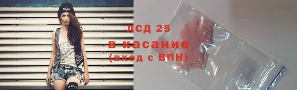 ПСИЛОЦИБИНОВЫЕ ГРИБЫ Каменка