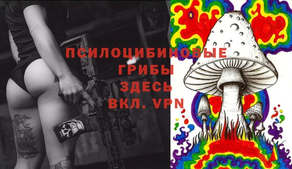 прущие грибы Инсар