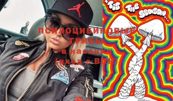 ПСИЛОЦИБИНОВЫЕ ГРИБЫ Каменка
