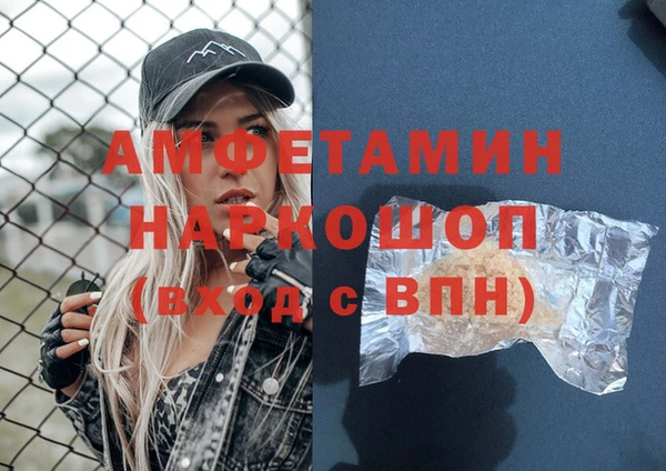 прущие грибы Инсар