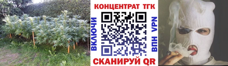 Дистиллят ТГК концентрат  Купить закладки  Сорочинск 