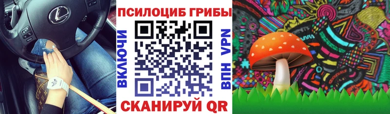 Купить  Сорочинск  Галлюциногенные грибы MAGIC MUSHROOMS 